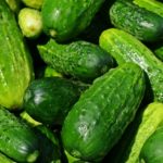 Adding these healthy foods to summer Diet can create wonders! Cucumber